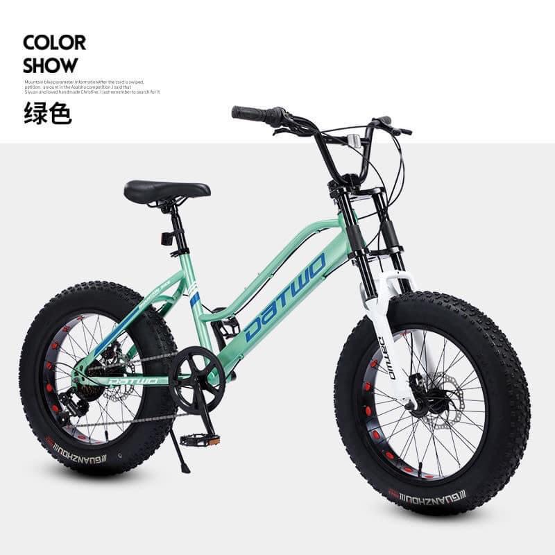 Xe đạp bánh béo 20icnh