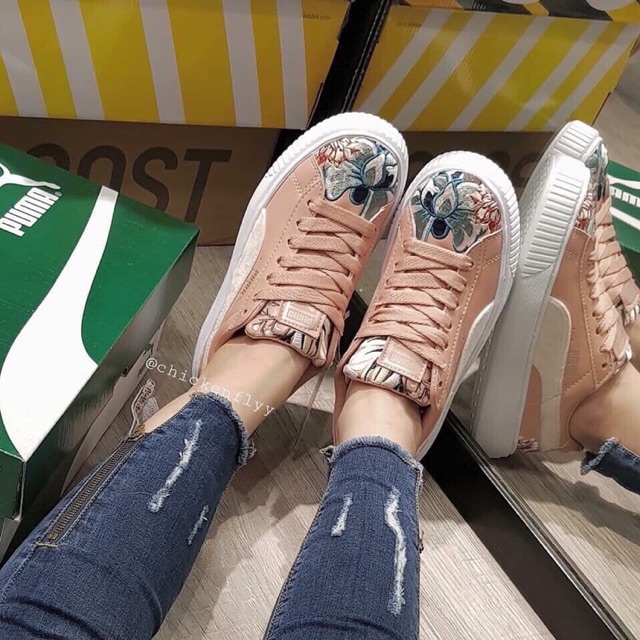 Puma hồng mũi hoa