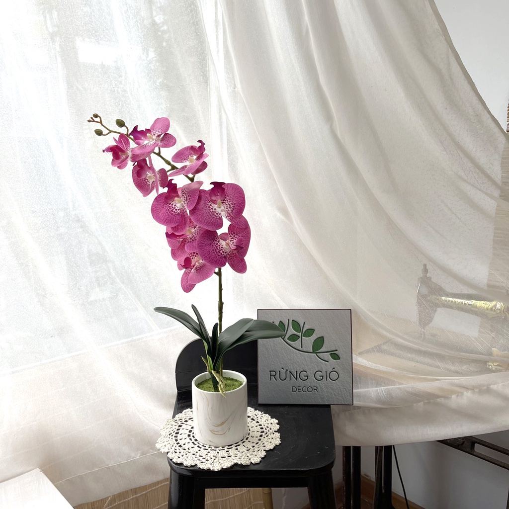 Set chậu Lan Hồ Điệp , hoa lan cao su nhân tạo cao cấp mã Set14
