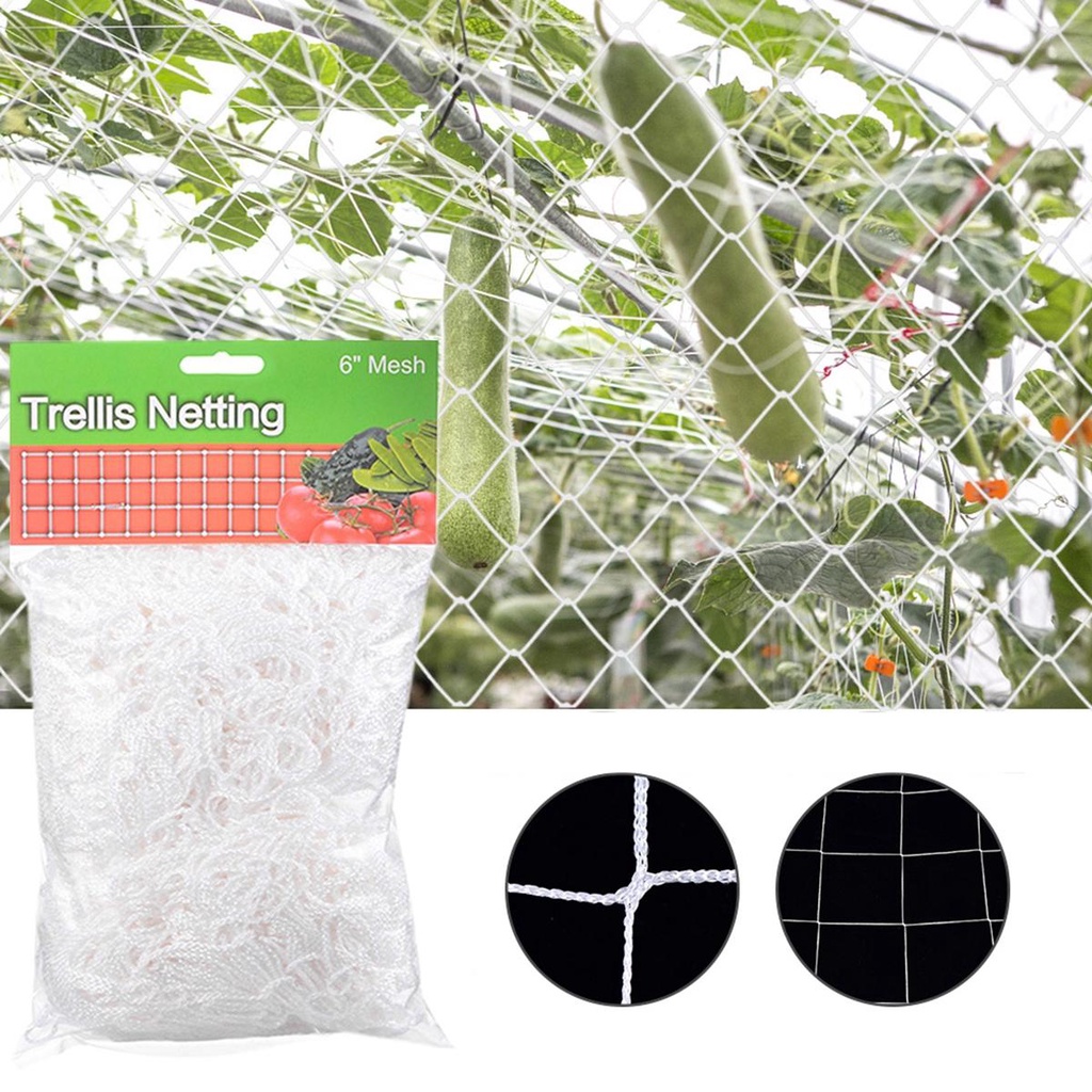 Lloyd Lưới Trồng Cây Dây Leo Chịu Được Sức Nặng