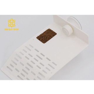 Máng leo cho rùa nước