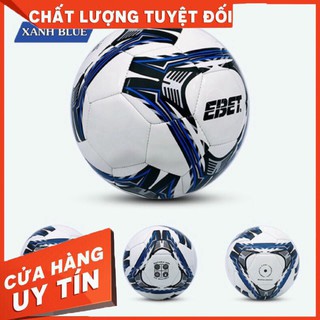 Quả bóng đá Động Lực may số 5 (nhiều màu)