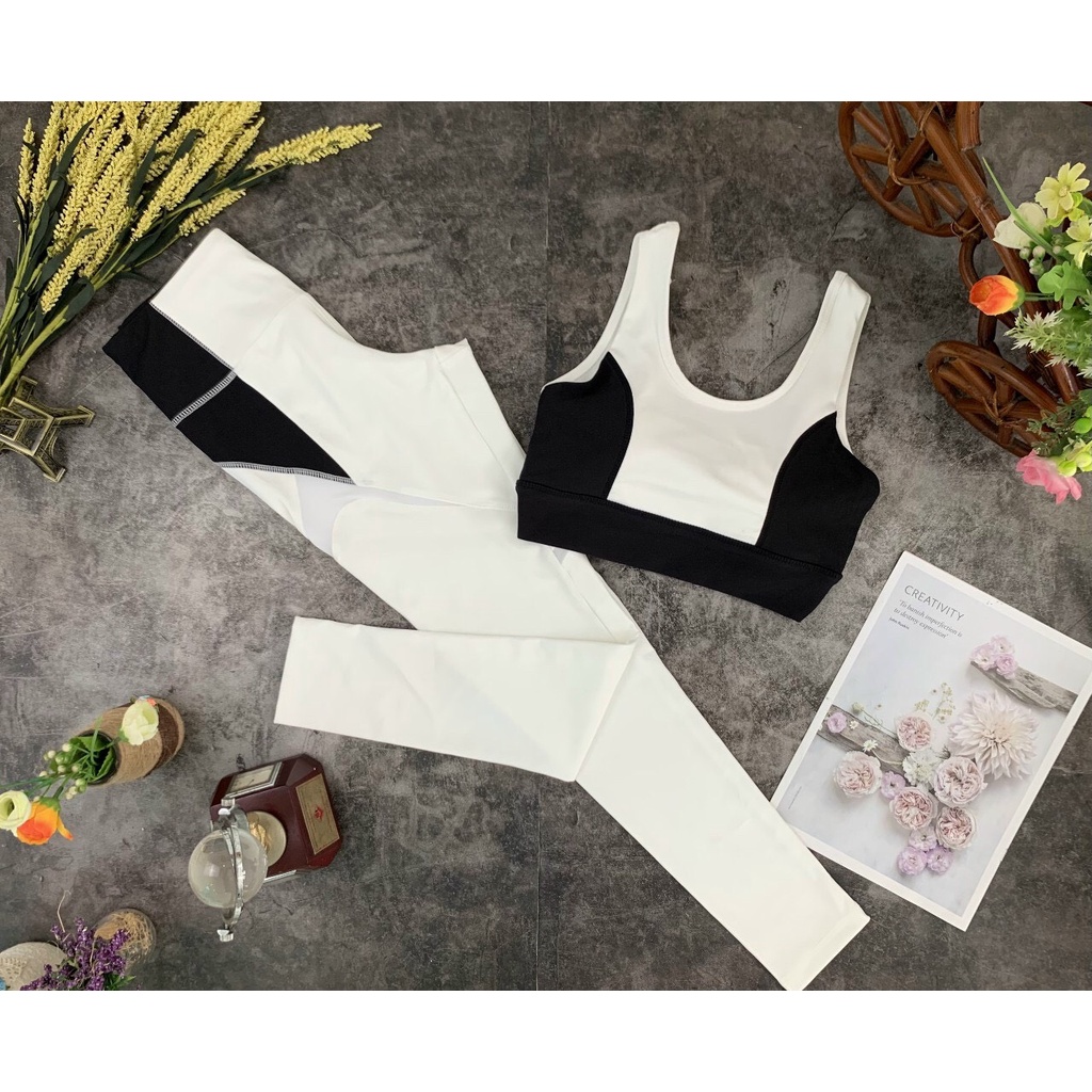 Set tập thể dục yoga, gym, zumba nữ thun phối lưới 2 màu mẫu mới siêu đẹp