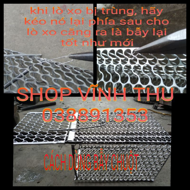 Bẫy chuột lồng Đa Sỹ Hà Đông có thể tái sử dụng