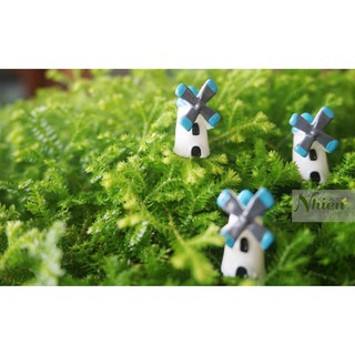 [Hình thật] CỐI XAY GIÓ MINI - Phụ kiện Terrarium ĐL
