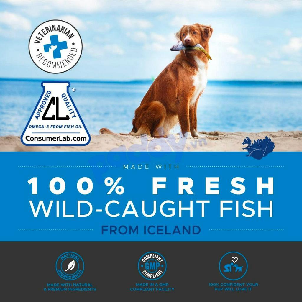 Dầu Cá Hồi Alaska Cho Chó Mèo Pet Honesty