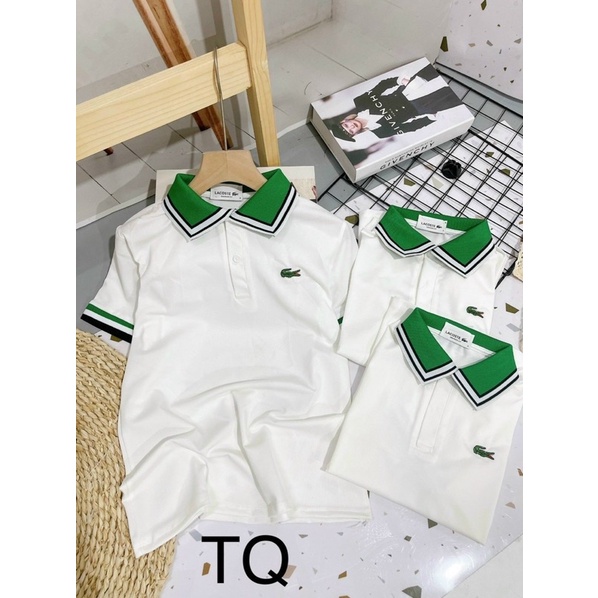 Áo cá sấu bigsize