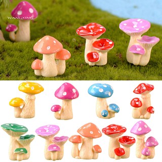 Cây cảnh sát trang trí tuyệt đẹp