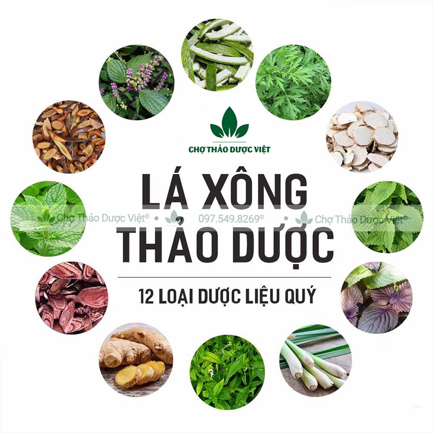 Lá xông tắm thảo dược 10 set (Lá xông khô, tăng sức đề kháng, phục hồi sức khỏe) - Chợ Thảo Dược Việt