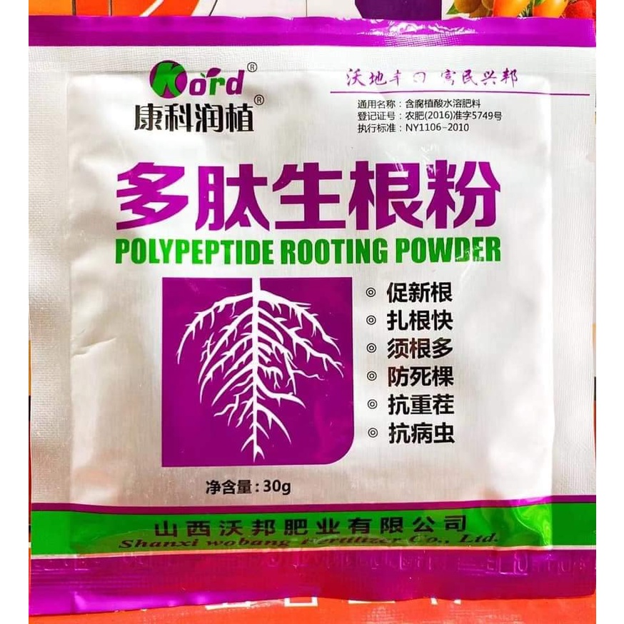 Siêu phẩm kích rễ (siêu ra rễ)