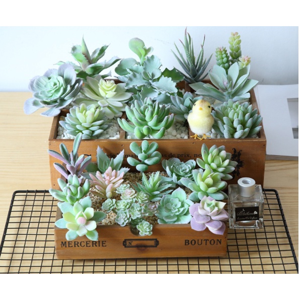 Cây sen đá giả giống thật có nhiều mẫu trang trí mang lại không gian thư giãn cho ngôi nhà của bạn