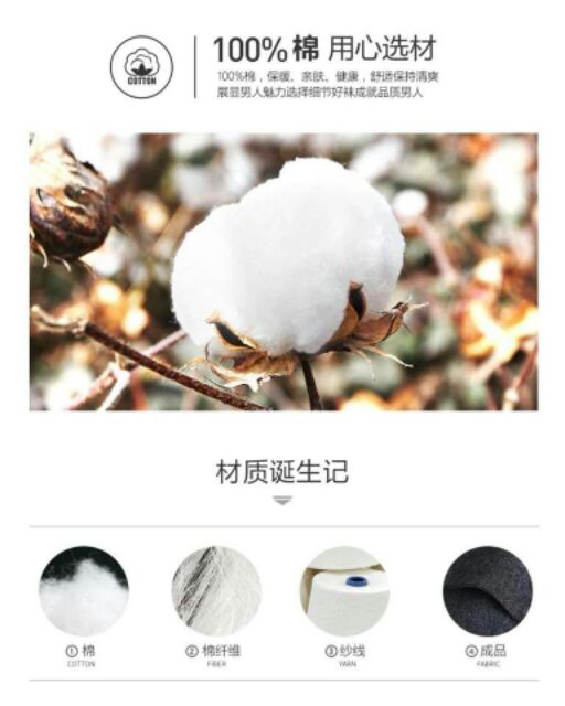 Tất playboy chính hãng