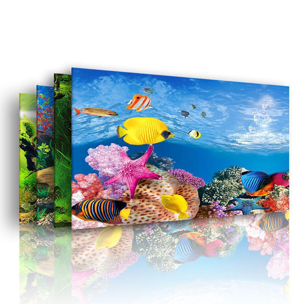 1 Miếng Dán Trang Trí Bể Cá 3D Màu Sắc Tươi Sáng