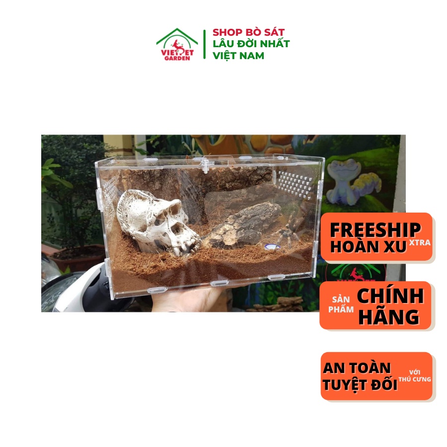 Tank Mica cho nhện - Hộp mica nuôi côn trùng nhện, bọ cạp cảnh - Vietpetgarden