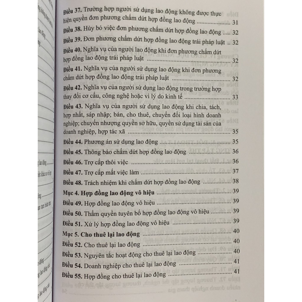 Sách - Bộ Luật Lao Động Song Ngữ Việt - Anh | BigBuy360 - bigbuy360.vn