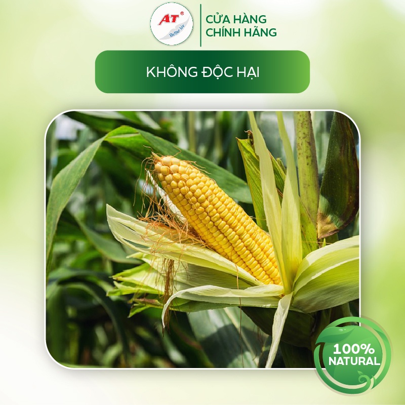 Thuốc trị nấm cho cây Nano Chitosan AT đậm đặc 500ml Kháng nấm, diệt khuẩn tuyến trùng an toàn 100% cho cây trồng