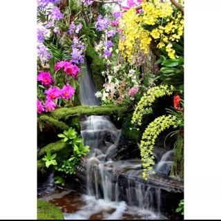 Tranh dán tường Hoa phong lan 3D 80x60 cm