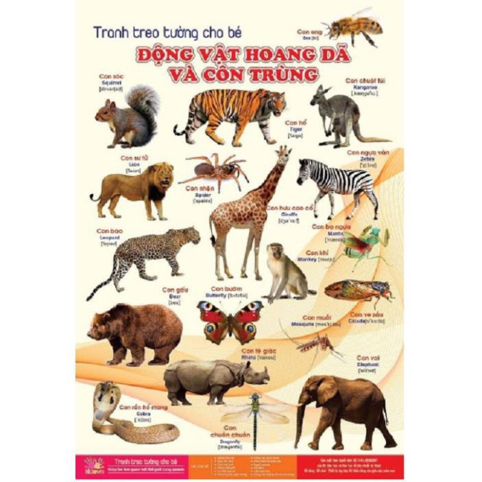 BỘ TRANH TREO TƯỜNG VỀ THẾ GIỚI XUNG QUANH 14 CHỦ ĐỀ CHO BÉ (45K LÀ GIÁ CẢ BỘ GỒM 14 CHỦ ĐỀ)