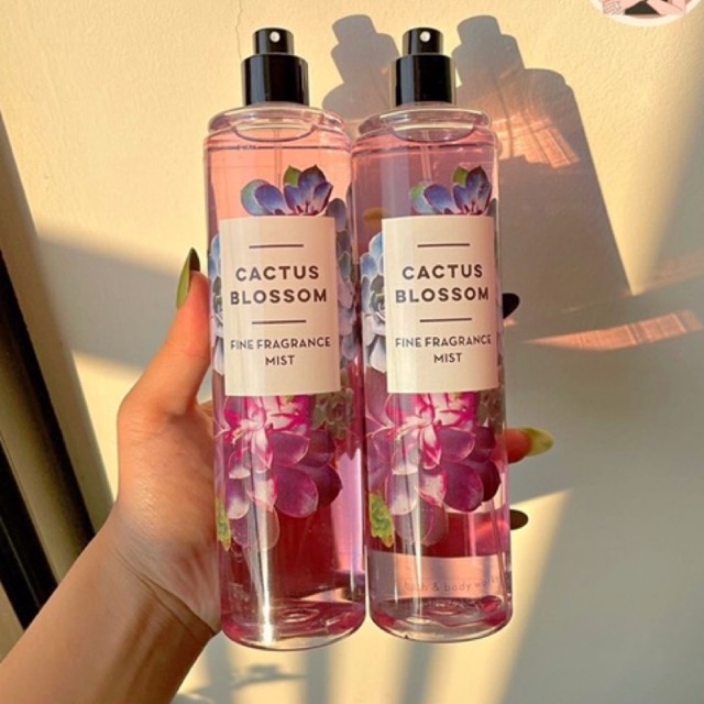 XỊT THƠM BODY MIST CACTUS BLOSSOM MEONOOW STORE ✨💕🧧