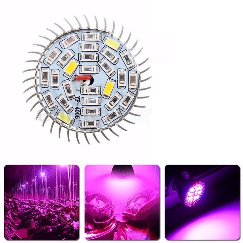 Đèn LED trồng cây, dèn led trồng rau tron nhà ( 30W E27)