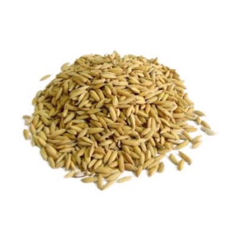 bách hoá thóc lúa cho gà vịt chim...1kg