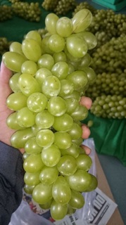 Nho xanh phan rang Ninh thuận 1kg