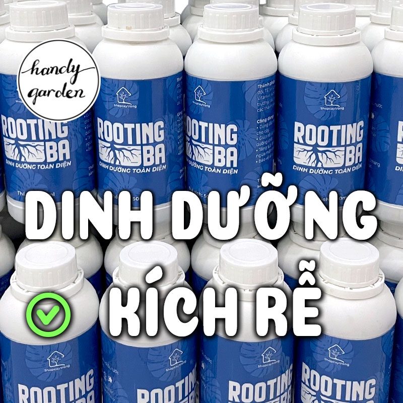 Nước Tưới Dinh dưỡng – Kích rễ Rooting BA (chai 500ml) siêu ra rễ Node Kiểng Lá, Kie Phong Lan, thuần Sen Đá HandyGarden