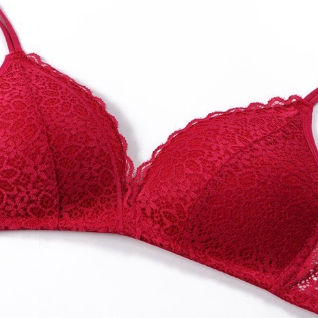 Áo ngực bra nữ không gọng đệm mút ép Lylylorem AL030