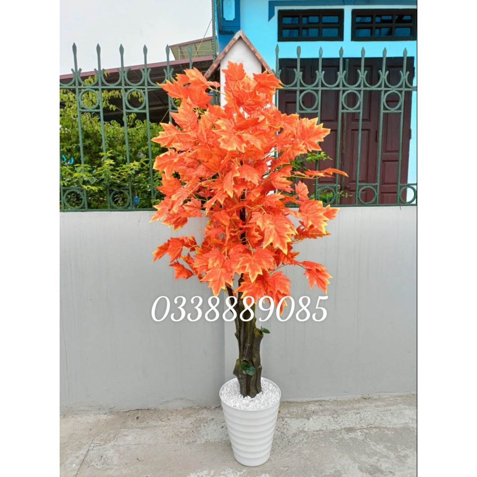 Cây Giả - Cây Lá Phong Đỏ Lá To, cao1,9m