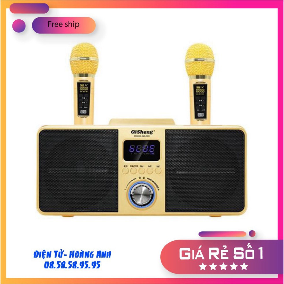 LOA KARAOKE SD-309
