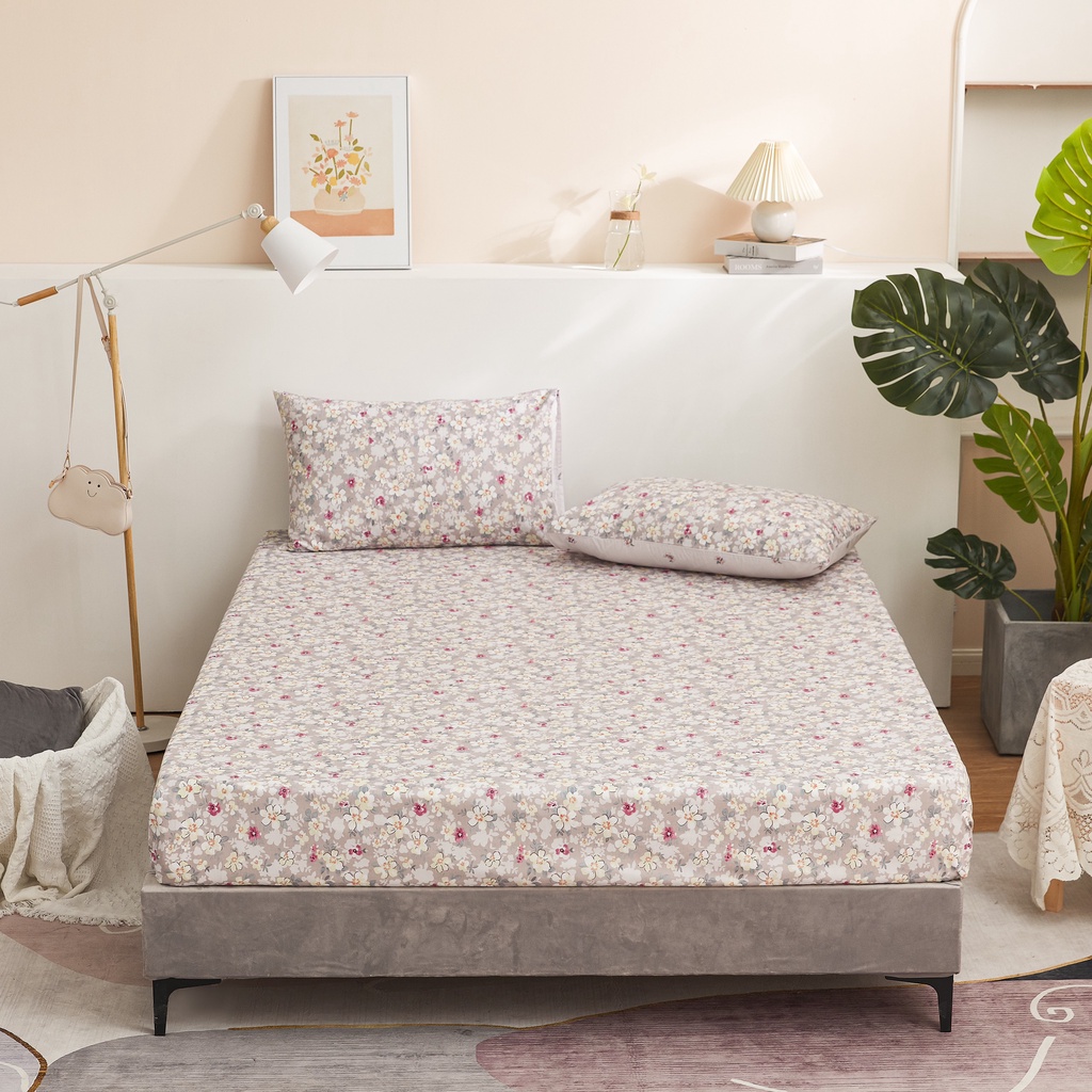 Ga gối Cotton Organic tự nhiên M2T bedding