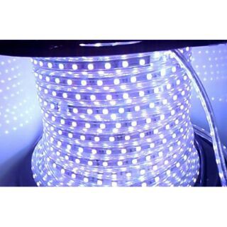 CUỘN LED ĐÔI 2835 -100M- KÈM NGUỒN