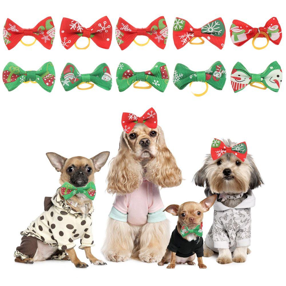 Set 10 Dây Buộc Tóc Nhiều Màu Sắc Cho Thú Cưng