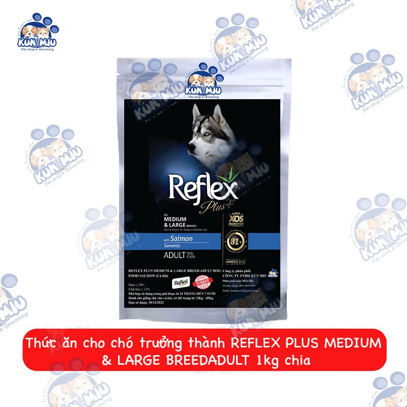 Thức Ăn Cho Chó Trưởng Thành REFLEX PLUS MEDIUM &amp; LARGE BREED ADULT Cá Hồi