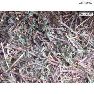 1kg xấu hổ khô