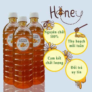 Mật ong nguyên chất hoa cà phê