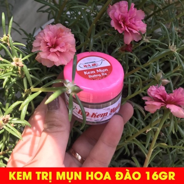 TRỊ MỤN HOA ĐÀO THINGROUP SIZE LỚN