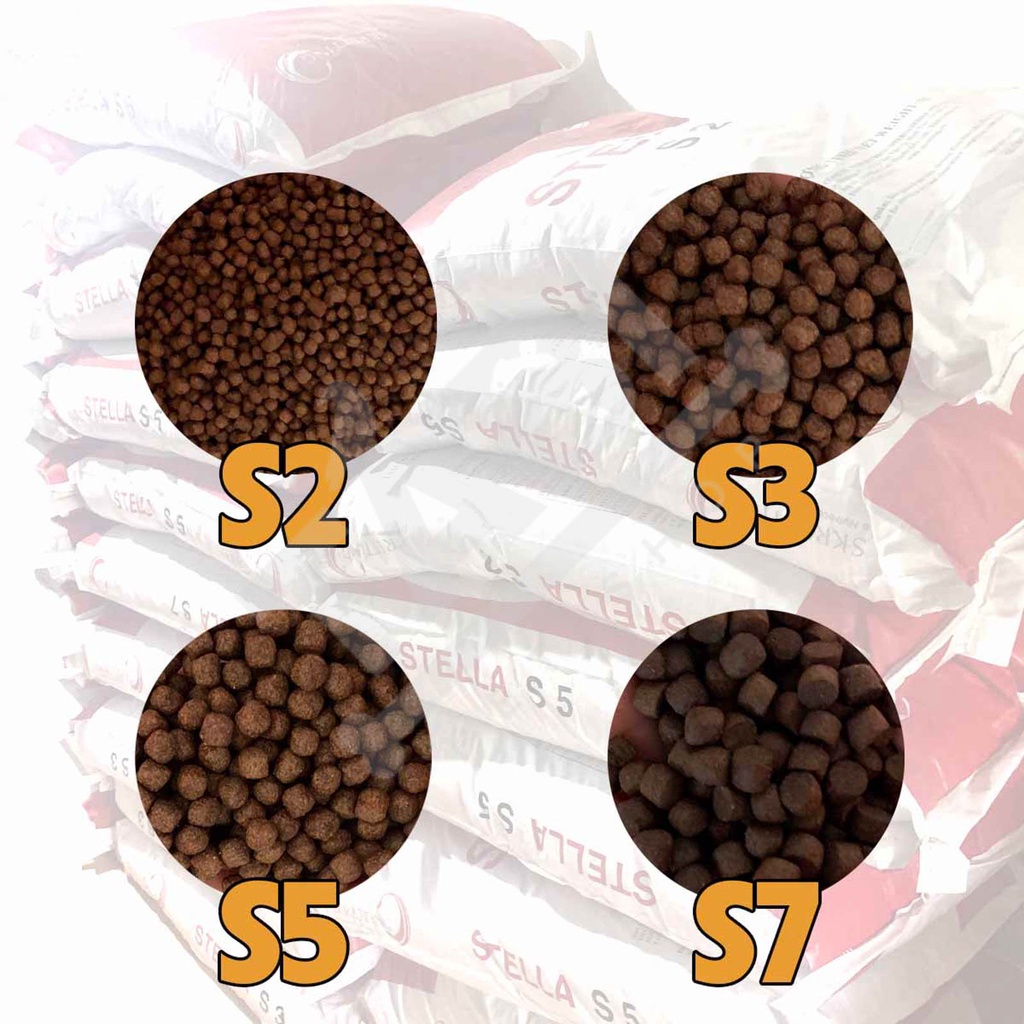 Cám Cá Chép KOI STELLA S2|S3|S5|S7-42% Đạm-Viên Nổi-Thức Ăn Cá STELLA Cho cá chép,koi,cá lóc