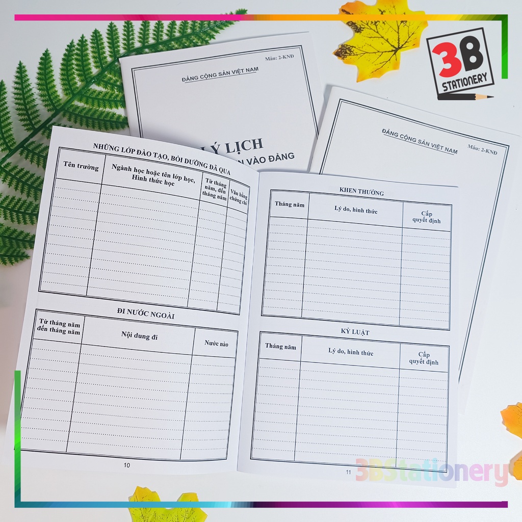 Lý lịch của người xin vào Đảng mẫu 02-KNĐ