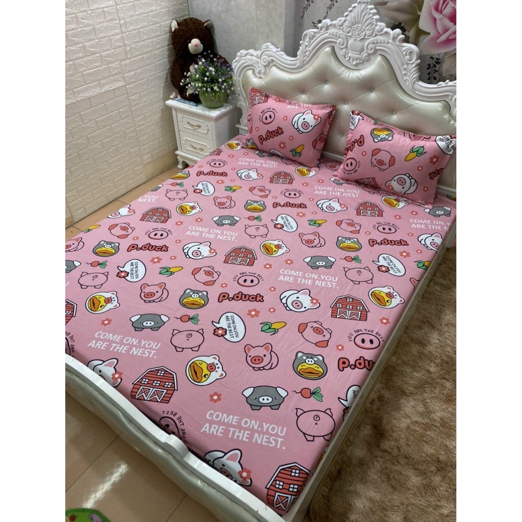 Combo Bộ Ga Gối Cotton Poly 1mx1m9-1m6x2m