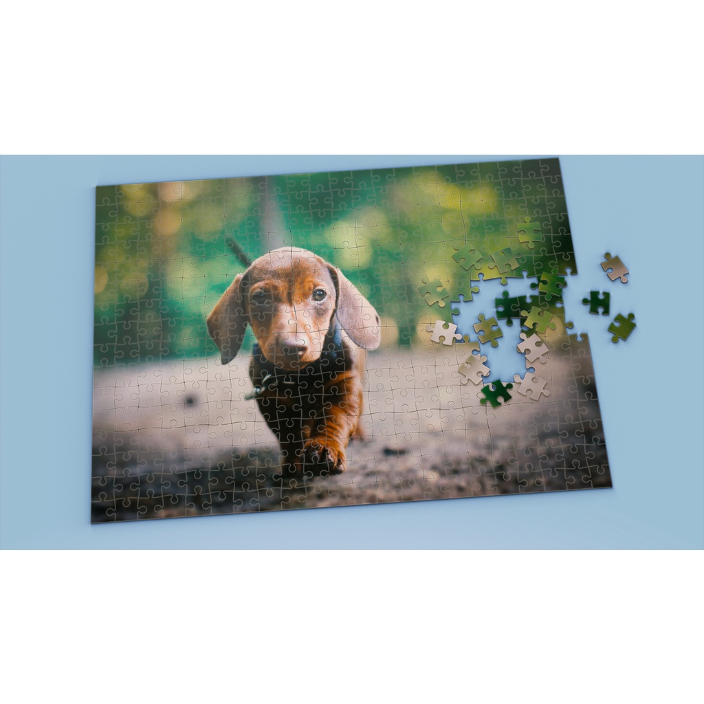Tranh ghép hình DACHSHUND - Mẫu 4 - Nhận in theo yêu cầu
