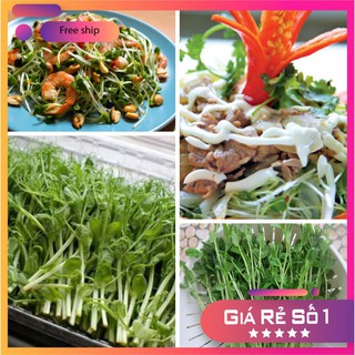 Combo 02 gói Hạt Giống Rau Mầm Đậu Hà Lan Hạt giống rau mầm LUCKY.VN