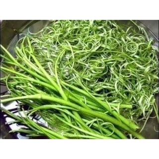Dụng cụ chẻ rau muống