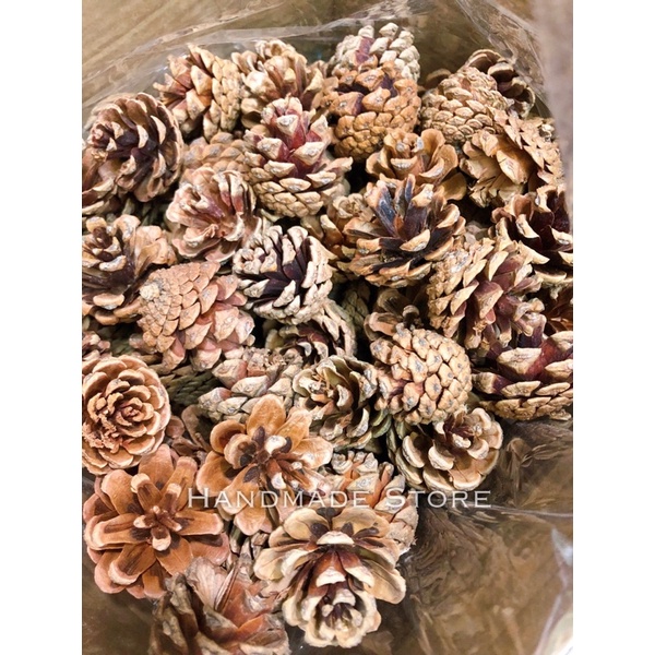 Quả thông Giáng sinh