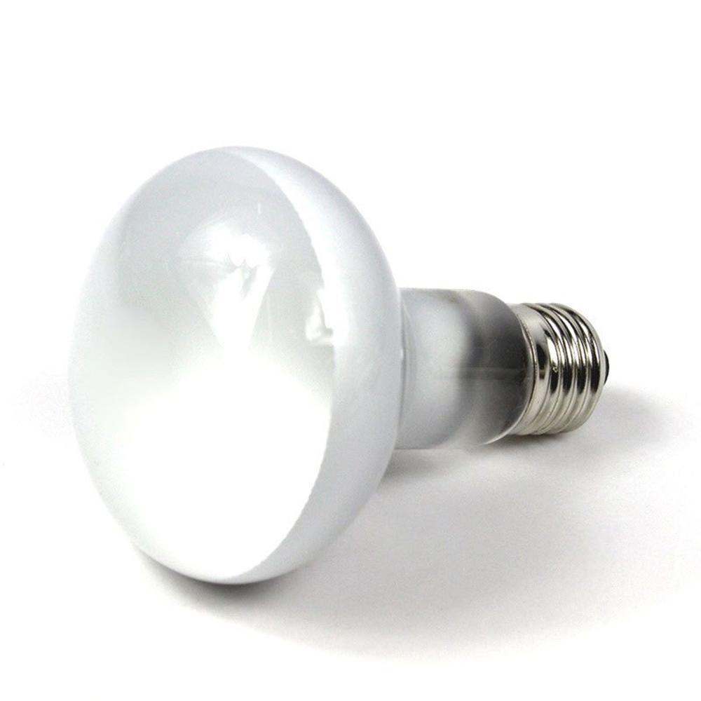 Augustine Bóng Đèn Halogen Điều Khiển Nhiệt Độ UVA