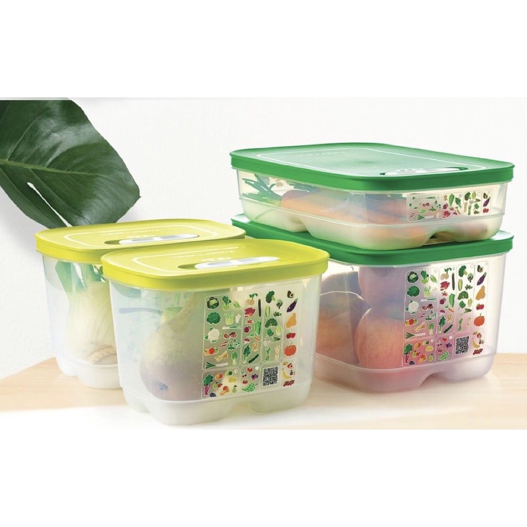 Bộ hộp Ventsmart nữ hoàng trữ mát có nút hô hấp cao cấp set 4 (4.4l 1.8l dẹp, cao) Tupperware