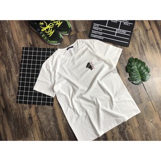 🌱Áo Thun Cao Cấp cotton 100% M241(KÈM ẢNH THẬT)🌱