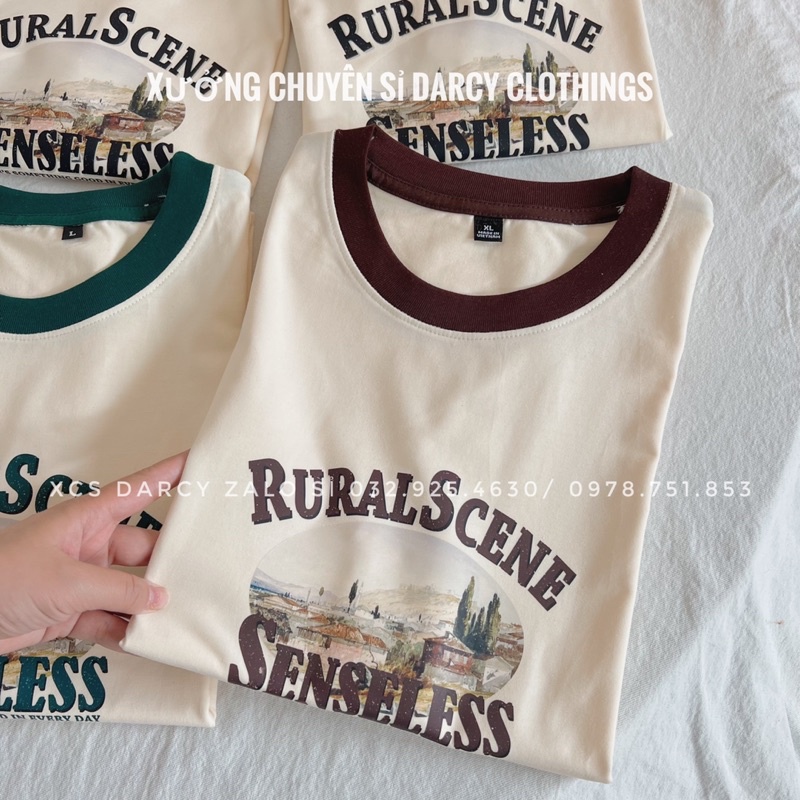 áo thun phối cổ màu ✨ FREESHIP ✨ áo thun cotton 4 chiều RURAL SCENE