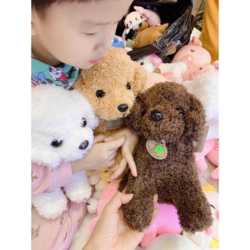 Chó Poodle bằng bông