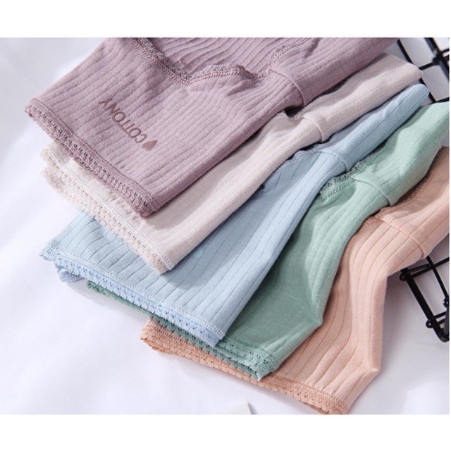 Quần lót nữ cotton gân tăm siêu đẹp 5366 hàng xuất Nhật cực đẹp